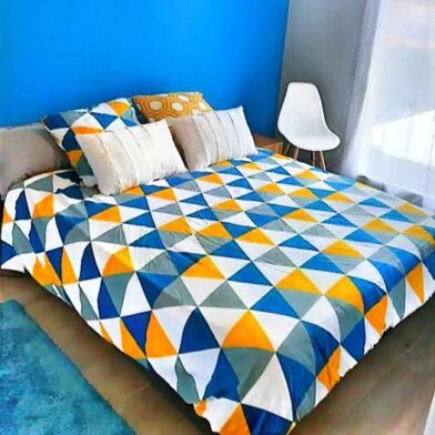 Appartement 1 pièces 295 €