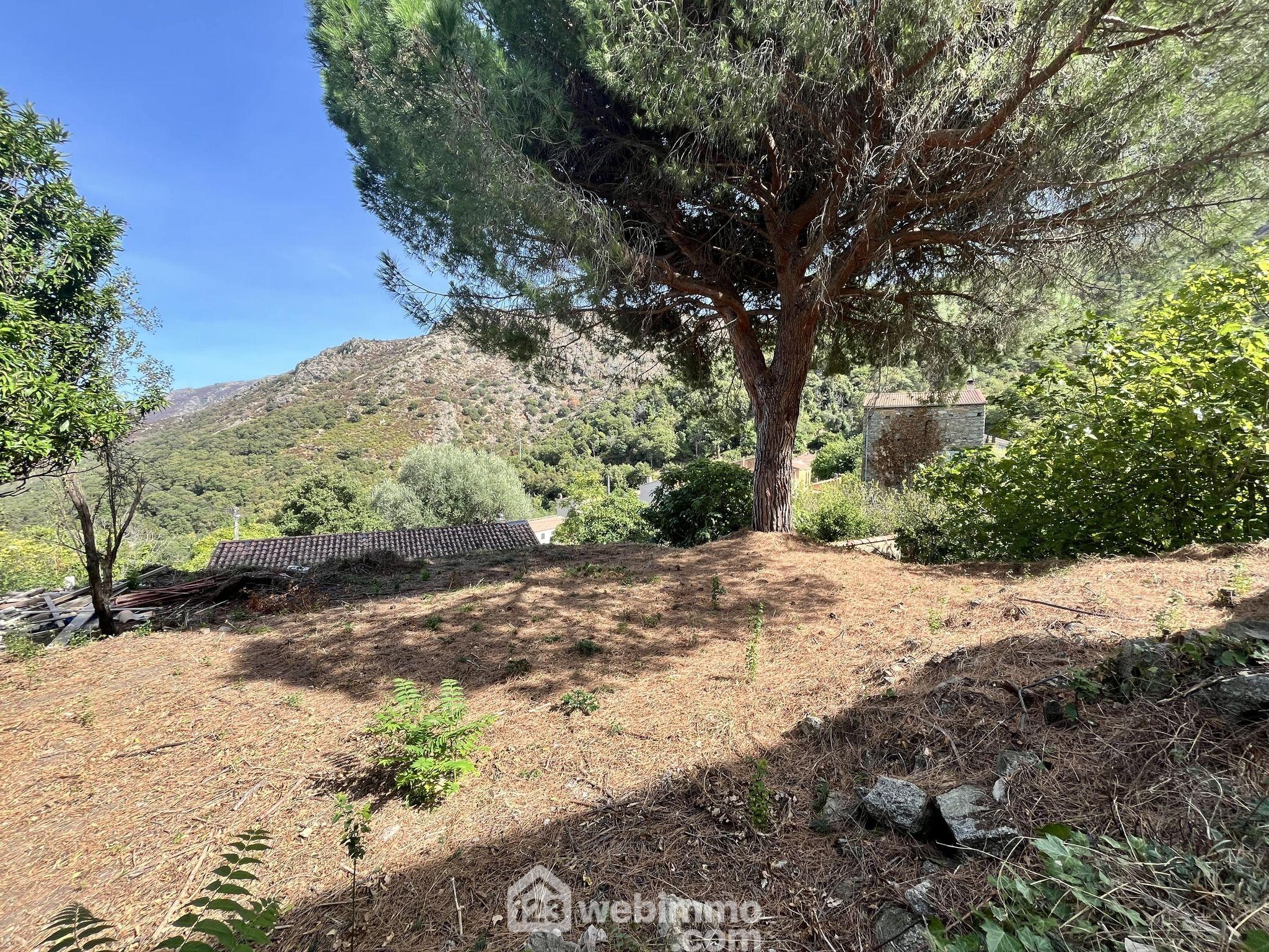 Agence immobilière de 123webimmo Calvi et Balagne