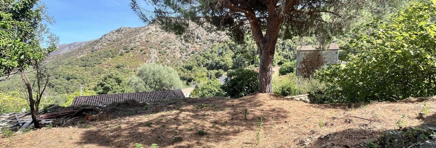 Appartement 3 Pièces 74 m² à vendre à Muro (20225)