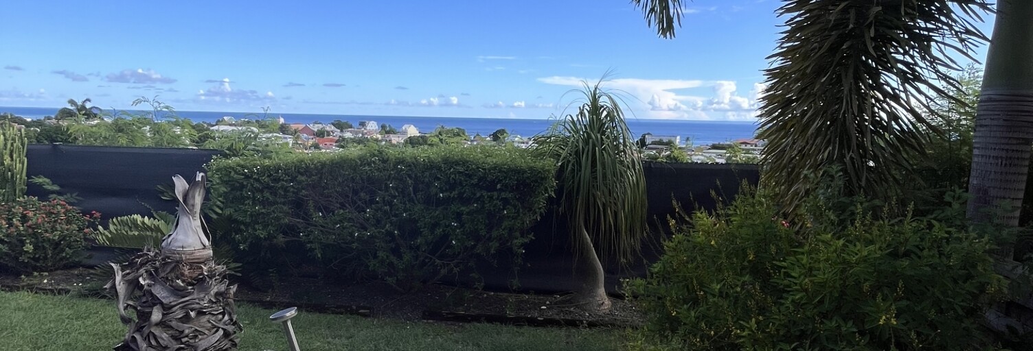 Appartement 1 Pièce 33 m² à vendre à Saint-François (97118)