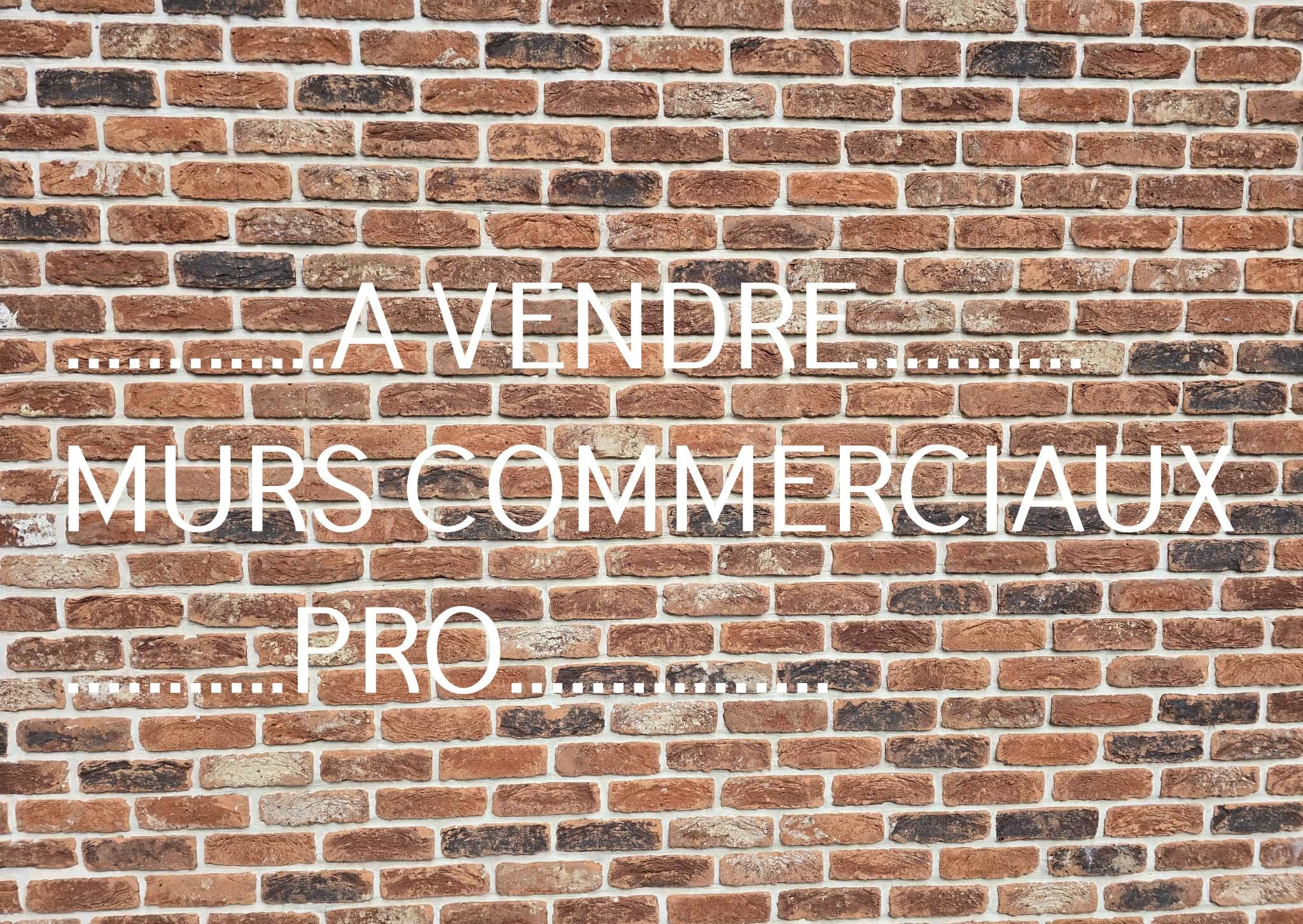 Agence immobilière de DLC FRANCE IMMO