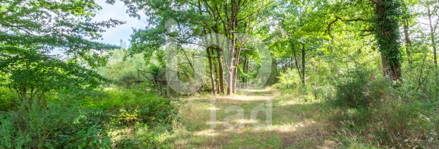 Maison 7 Pièces 177 m² à vendre à Montereau (45260)