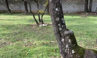 Photo N° 2