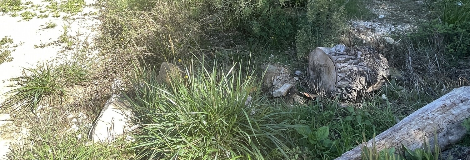 Terrain  450 m² à vendre à Uzès (30700)