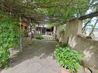Maison avec jardin et bureau — photo 3