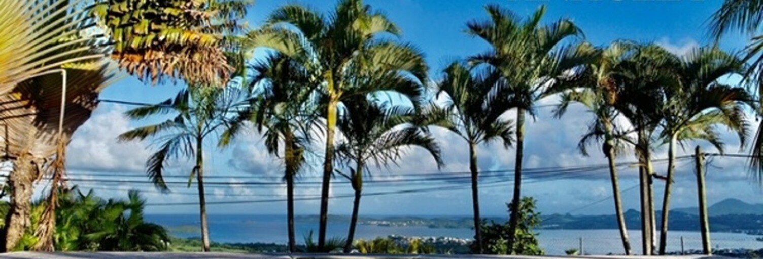 Maison 6 Pièces 180 m² à vendre à Le Robert (97231)