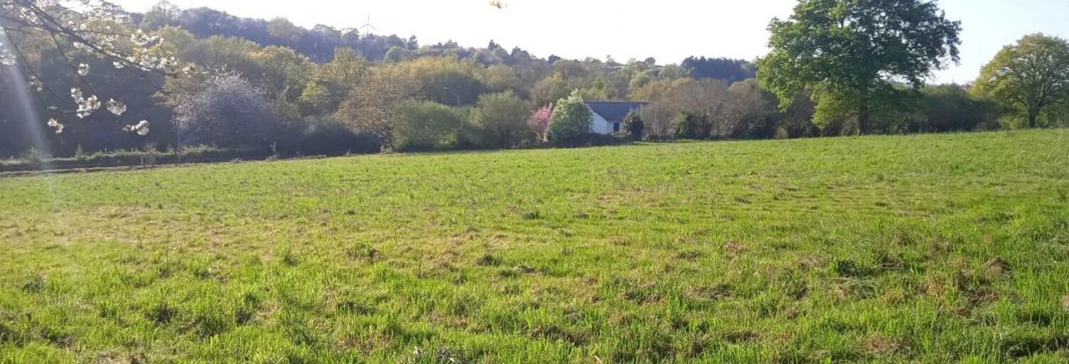 Terrain  7310 m² à vendre à Soulvache (44660)