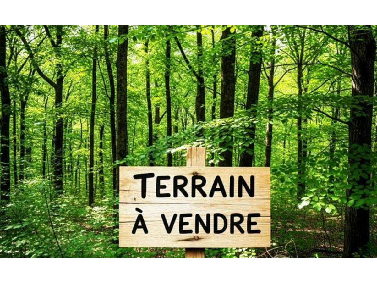 Terrain  à vendre Béganne 56350