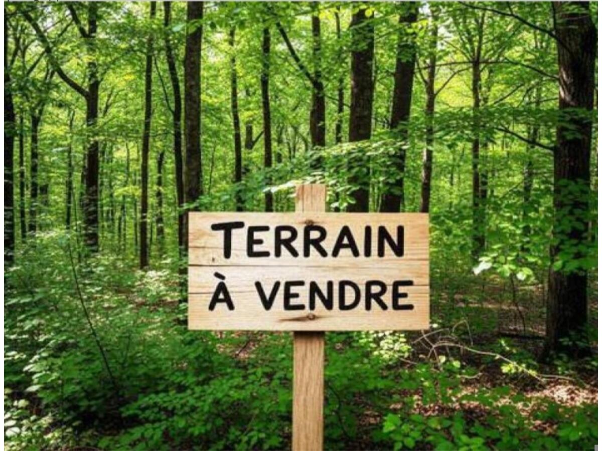 Terrain  à vendre Béganne 56350