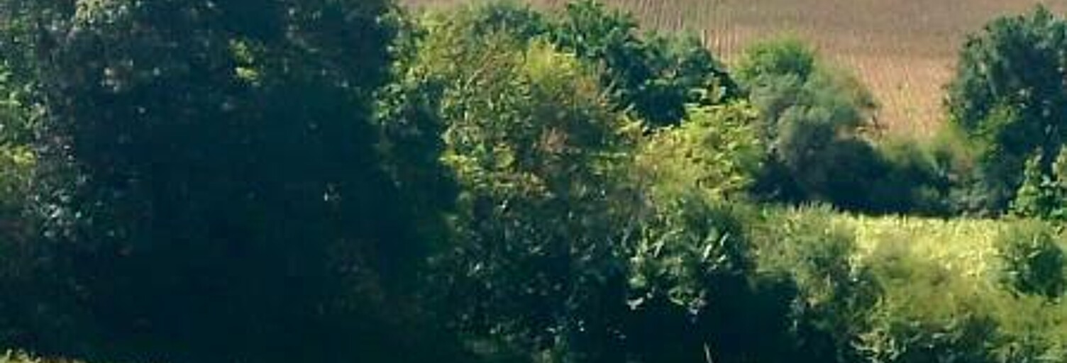 Terrain  1574 m² à vendre à Rieumes (31370)