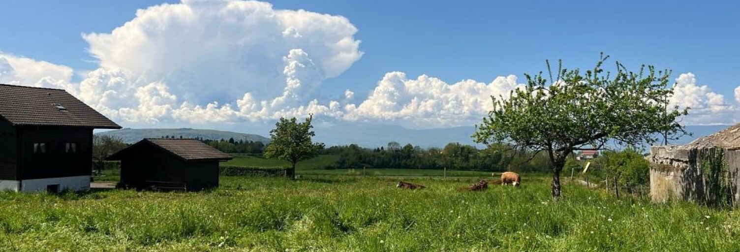 Terrain  1290 m² à vendre à Draillant (74550)