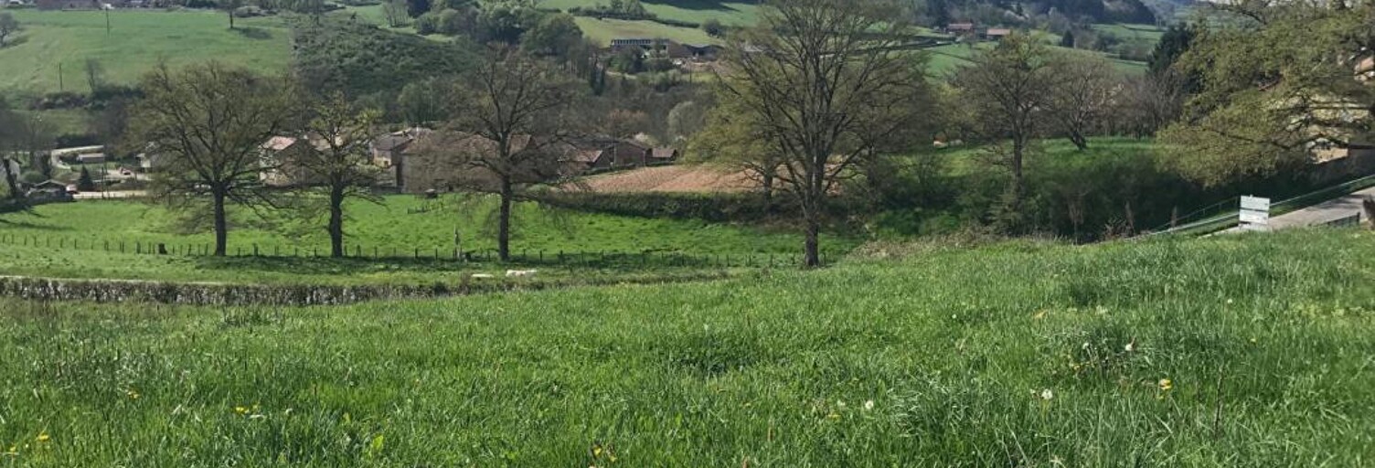 Terrain  6025 m² à vendre à Trambly (71520)