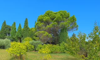 Terrain 680 m² à construire Aubignan (84810)