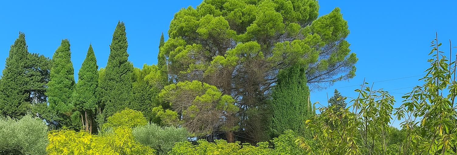 Terrain 680 m² à construire Aubignan (84810)