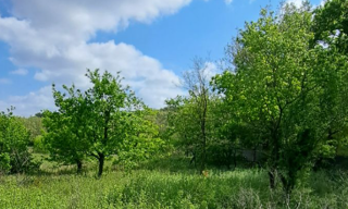 Terrain 617 m² à construire Aubignan (84810)