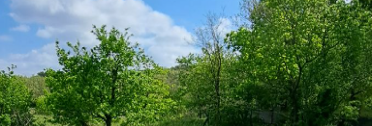 Terrain 617 m² à construire Aubignan (84810)