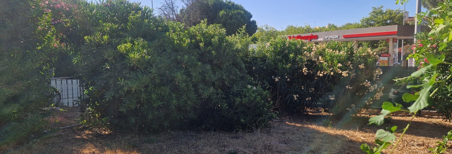 Appartement 2 Pièces 27 m² à vendre à Agde (34300)