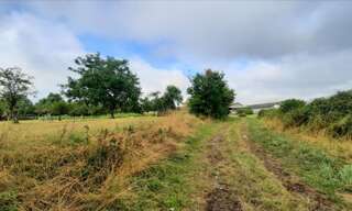 Terrain  77501 m² à vendre à Luçay-le-Mâle (36360)