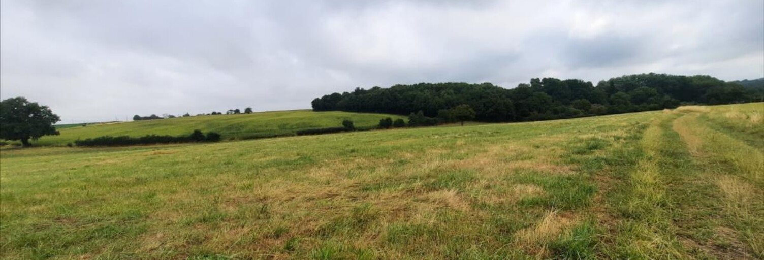 Terrain  77501 m² à vendre à Luçay-le-Mâle (36360)