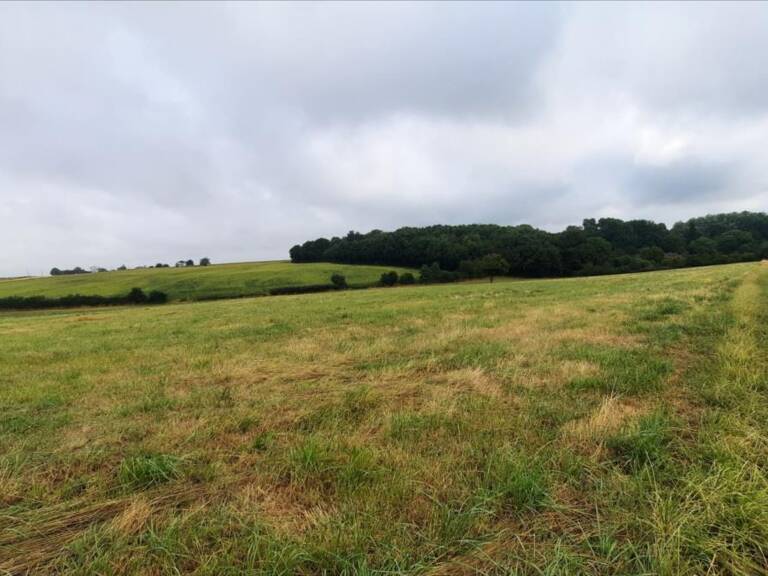 Terrain à construire  77501 m²  — photo 1