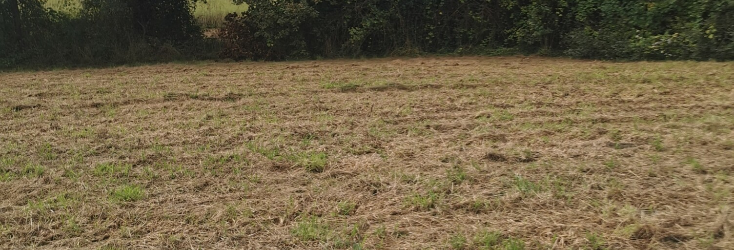 Terrain  647 m² à vendre à Hinx (40180)