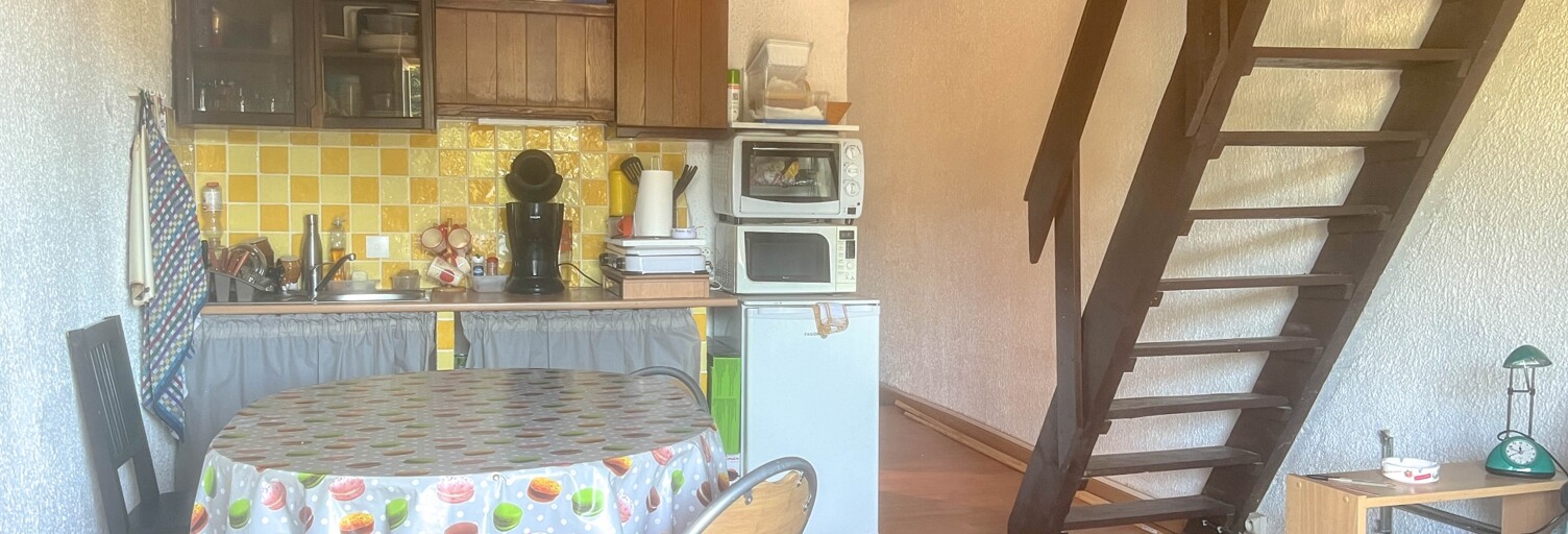 Appartement 3 Pièces 33 m² à vendre à Prades-d'Aubrac (12470)