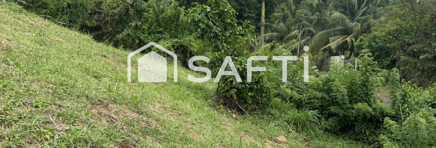 Terrain  1000 m² à vendre à La Trinité (97220)