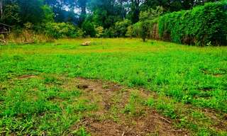 Terrain  750 m² à vendre à Missillac (44780)