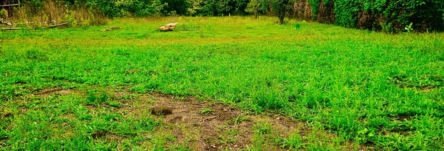 Terrain  750 m² à vendre à Missillac (44780)