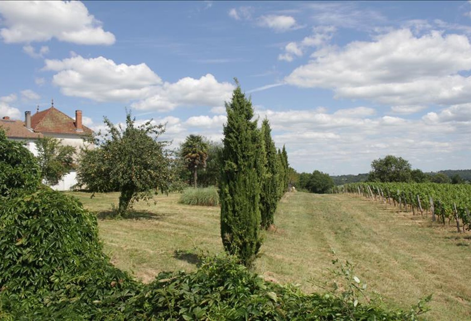 Vente maison 12 pièces 424 m² Semens (33490) — photo 1