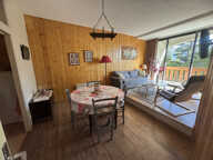 APPARTEMENT T3 - GALERIE COMMERCIALE - PRA LOUP 1600 — photo 2