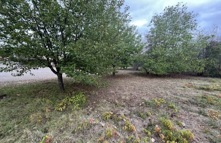 Vente terrain  1033 m² Anglars-Juillac (46140) — photo 3