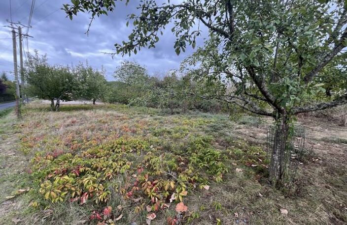 Vente terrain  1033 m² Anglars-Juillac (46140) — photo 5