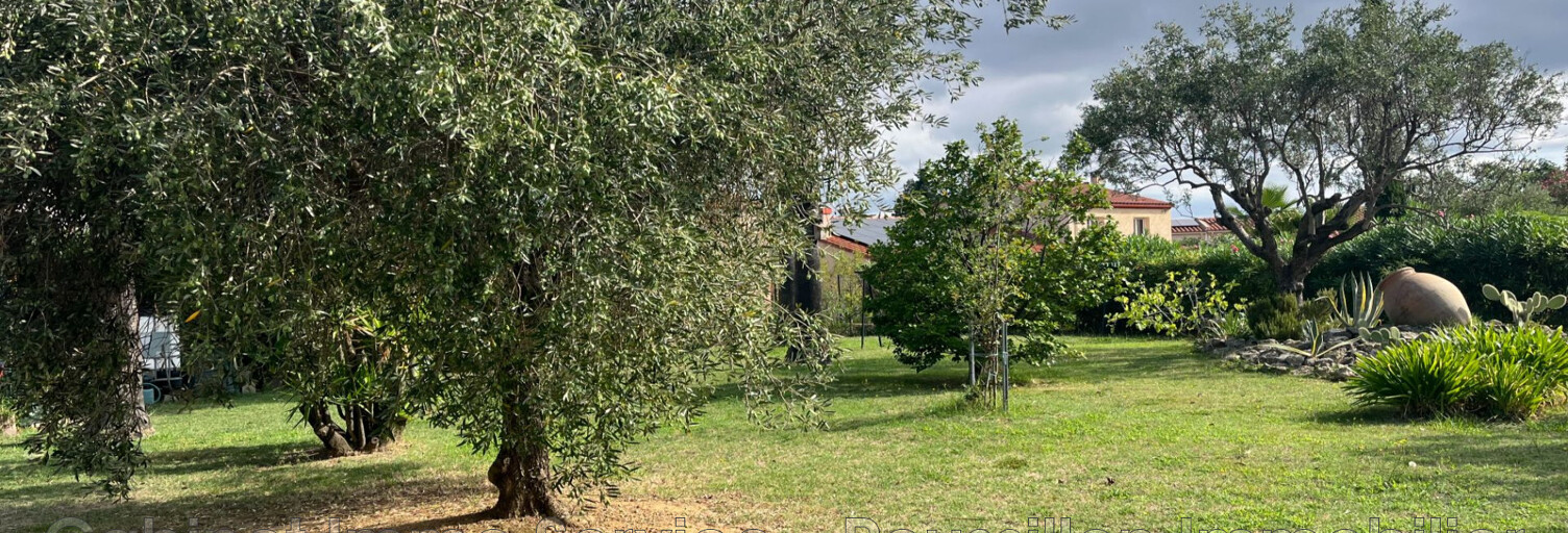 Terrain  632 m² à vendre à Céret (66400)