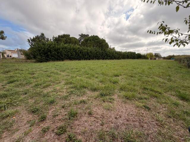 Terrain À Vendre — photo du bien