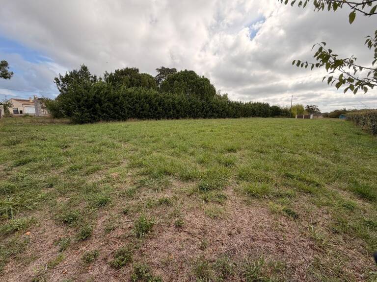 Terrain À Vendre — photo 1