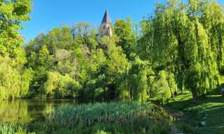 Commerce 2 Pièces 40 m² à vendre à Fontaine-lès-Dijon (21121)