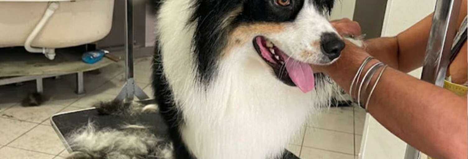 Maison 2 Pièces 90 m² à vendre à Questembert (56230)