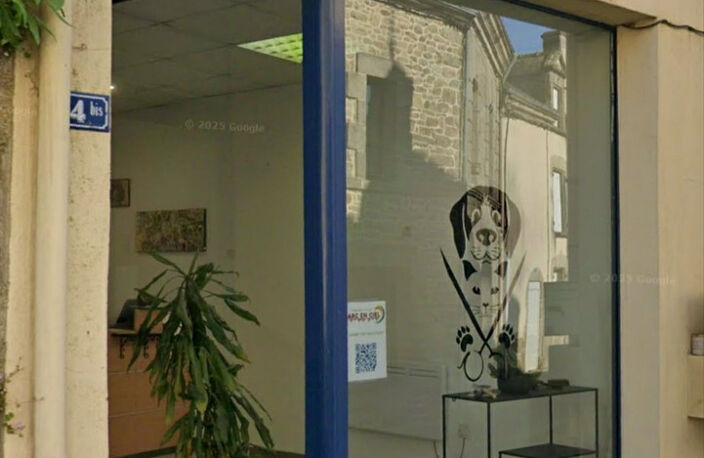 À vendre – Salon de toilettage canin et félin au cœur de Questembert — photo 3
