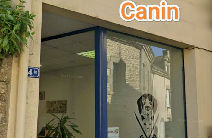 À vendre – Salon de toilettage canin et félin au cœur de Questembert — photo 5