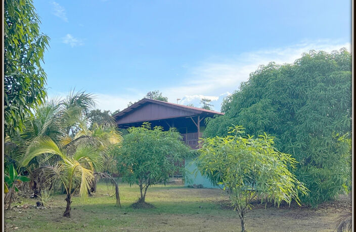 A VENDRE A KOUROU (97310 Guyane Française) UNE MAGNIFIQUE MAISON DE CAMPAGNE T4 DE 103 m² SUR UN TERRAIN DE 5000 m² - AU PRIX DE 395 000 € — photo 4