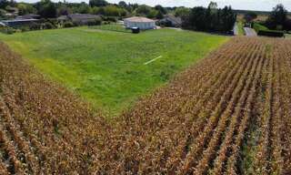 Terrain  1399 m² à vendre à La Ville-Dieu-du-Temple (82290)