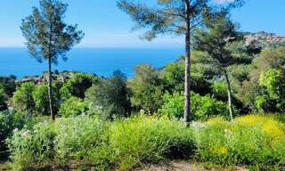 Terrain  1500 m² à vendre à La Turbie (06320)