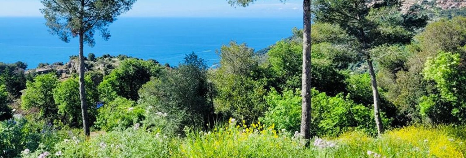 Terrain  1500 m² à vendre à La Turbie (06320)