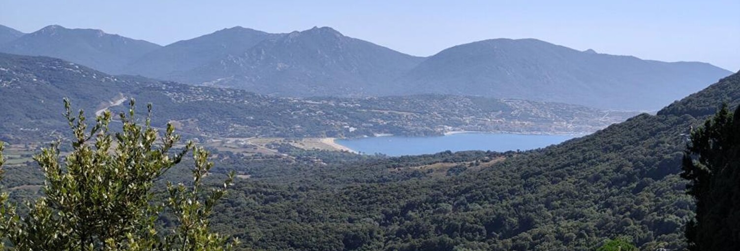 Maison 3 Pièces 68 m² à vendre à Olmeto (20113)