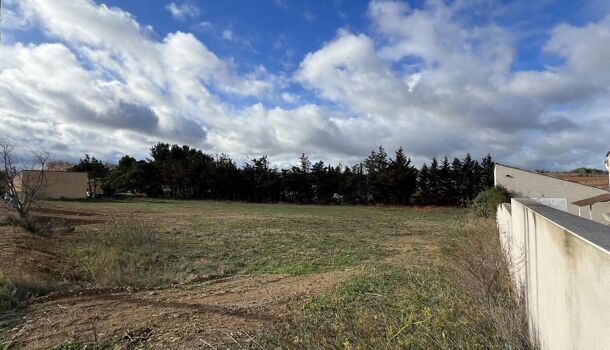 Terrain  à vendre Boutenac 11200