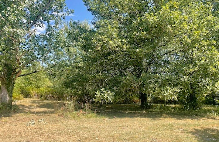 MAISON EN PIERRE CHARME ET AUTHENTICITE -7300 m2 - GIRONDE ( — photo 5
