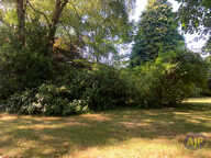 Terrain à bâtir — photo 2
