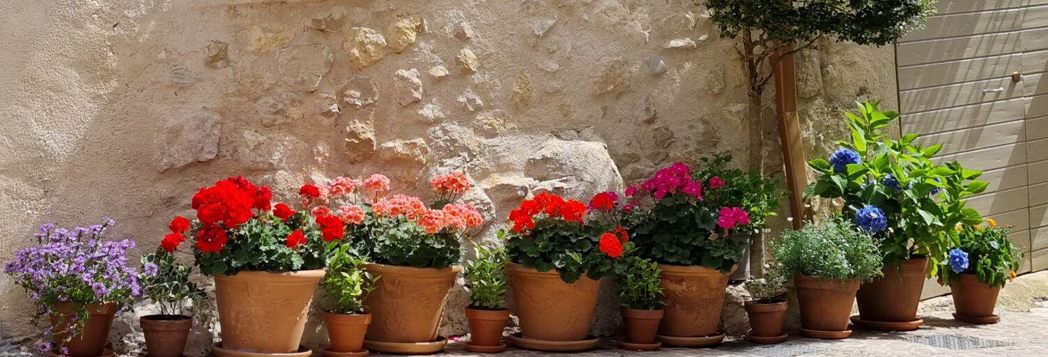 Photo N° 2