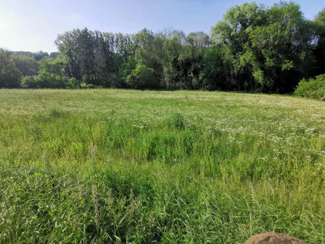 Dept Essonne (91), à vendre à SERMAISE (91530), Terrain cons — photo du bien